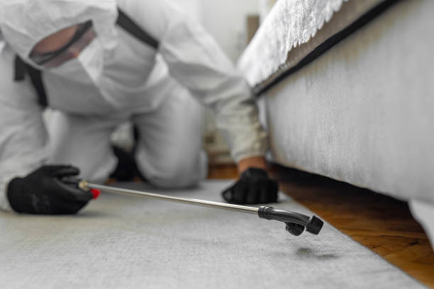 Professional Ant Control technician working in Old Saybrook Center, CT